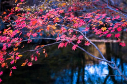 花臂老师凉太八周年免费观看主视觉